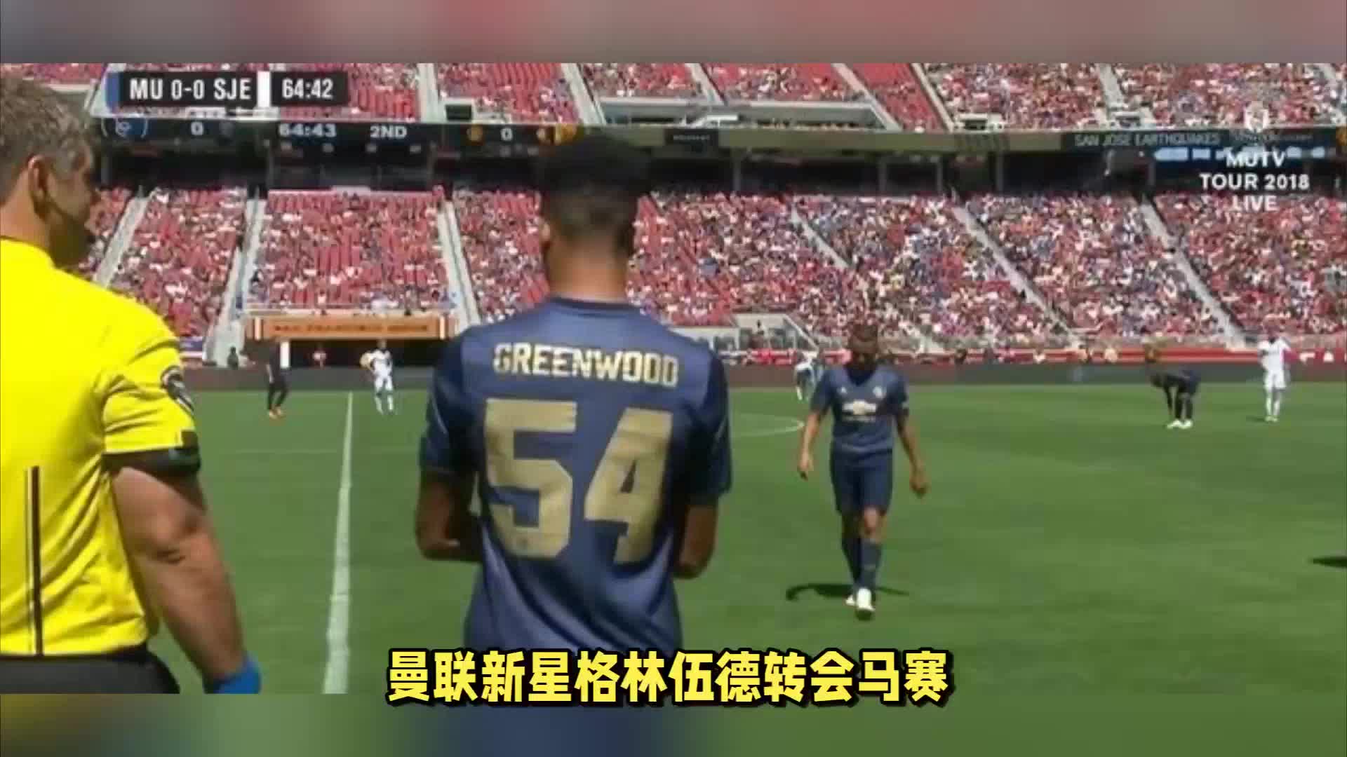 为其他年