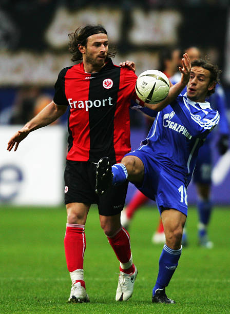 若他最终选 若他最终选